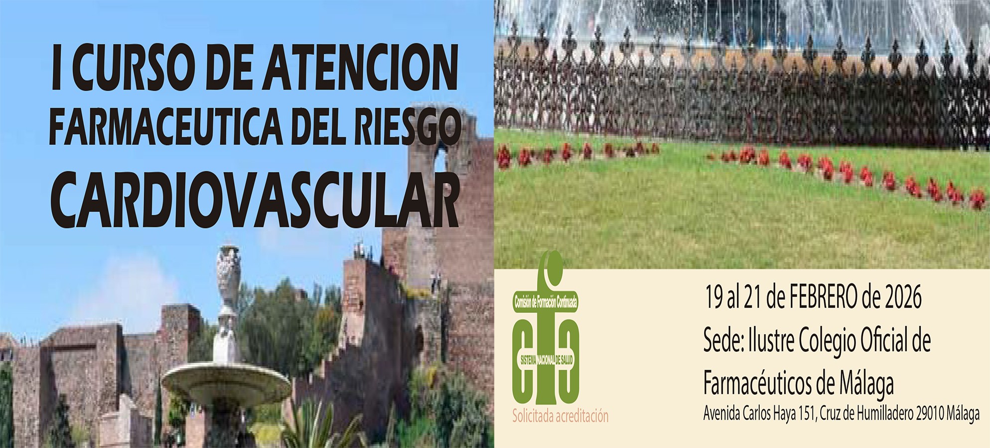 CURSO RIESGO CARDIOVASCULAR